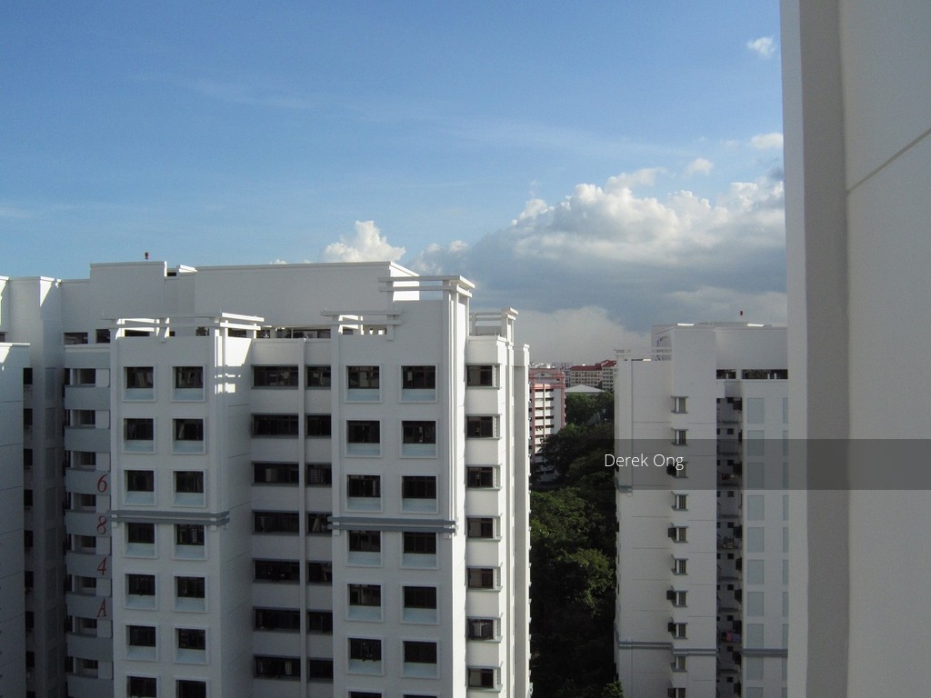 Blk 684D Choa Chu Kang Crescent (Choa Chu Kang), HDB 5 Rooms #111941872